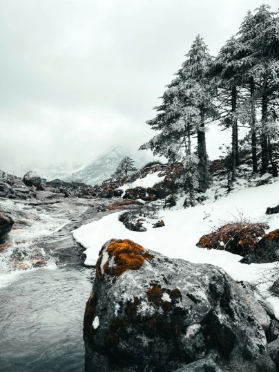unsplash_0dG36lpLKiU_Darjeeling.webp.jpg