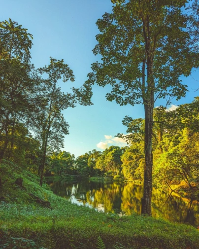 unsplash_TxrZCEBAS-Y_Darjeeling.webp.jpg.jpg.jpg