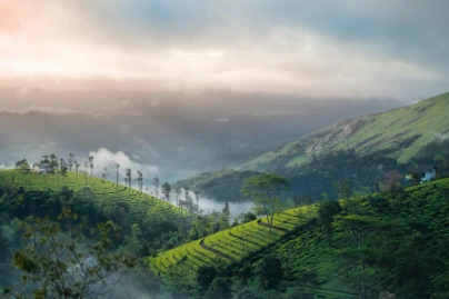 unsplash_72GwiojCwoI_kashmir.webp.jpg