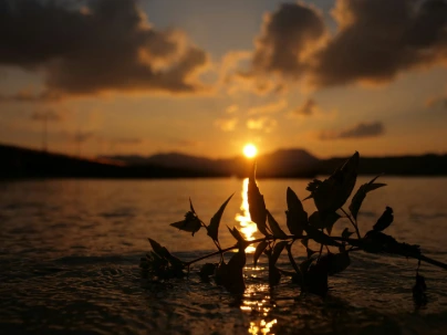unsplash_qa8VhqvJGIo_kashmir.webp.jpg.jpg.jpg