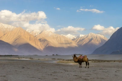unsplash_0ICxgY6vdCA_kashmir.webp.jpg.jpg