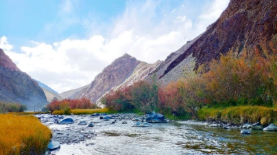 unsplash_qa8VhqvJGIo_kashmir.webp.jpg.jpg.jpg