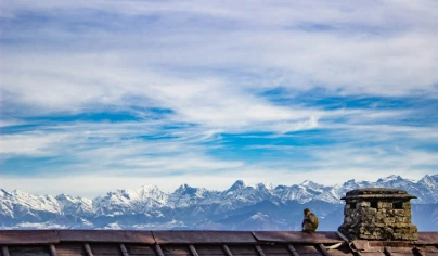 unsplash_qa8VhqvJGIo_kashmir.webp.jpg.jpg.jpg