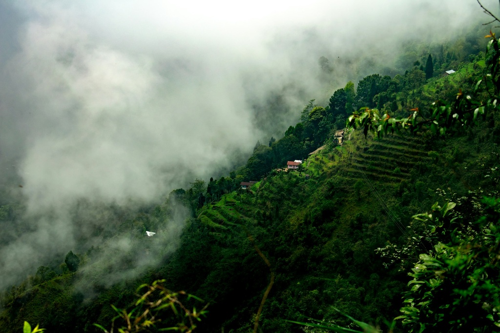 unsplash_TxrZCEBAS-Y_Darjeeling.webp.jpg.jpg.jpg