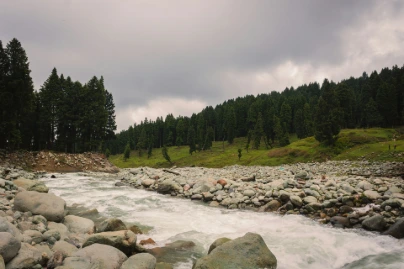 unsplash_MWgy5mOYgqU_Darjeeling.webp.jpg.jpg