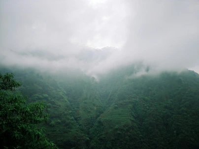unsplash_MWgy5mOYgqU_Darjeeling.webp.jpg.jpg
