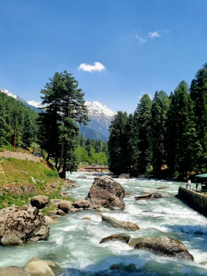 unsplash_0XG9U9REcxM_Darjeeling.webp