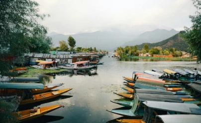 unsplash_MWgy5mOYgqU_Darjeeling.webp.jpg.jpg