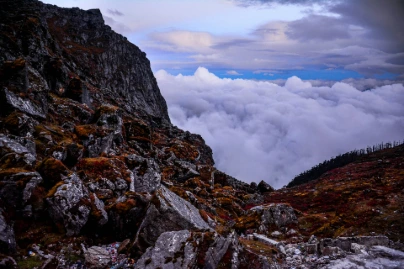 unsplash_MWgy5mOYgqU_Darjeeling.webp.jpg.jpg