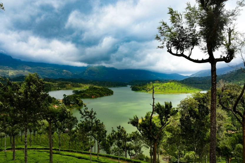 Kerala Complete – The Ultimate God’s Own Country Tour (8 days & 7 nights)