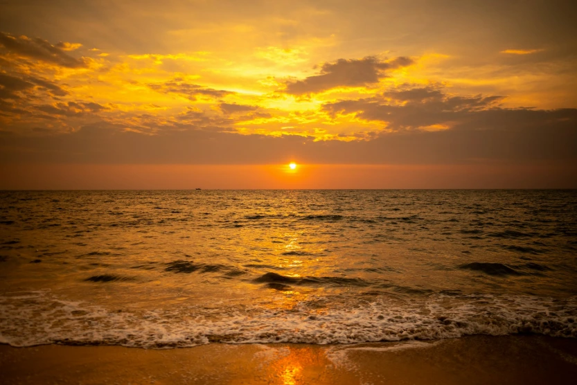 Kerala Premium Escape (8 days & 7 nights)