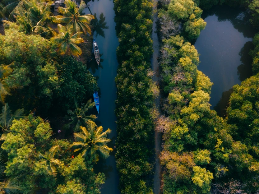 Kerala Chill Escape – Hills to Cliff Beaches (8 days & 7 nights) (Deluxe)