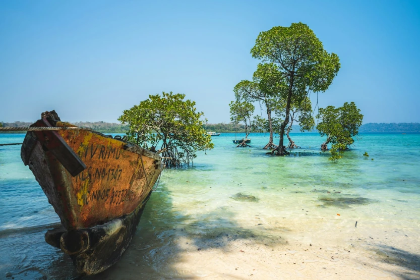 Andaman Essentials – Beaches & History Escape (4N/5D) (Deluxe)