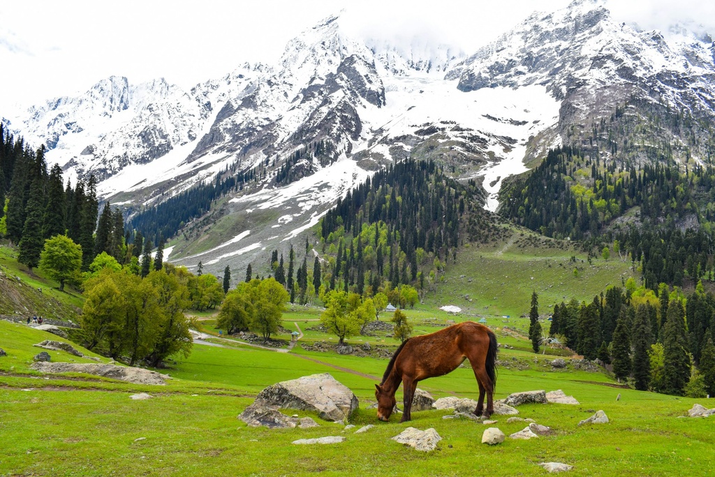 Classic Kashmir (5N/6D)